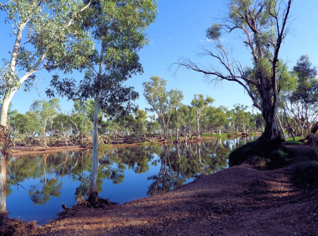 Reflections at Redbank Waterhole, Owen Springs Reserve © Dorothy Latimer