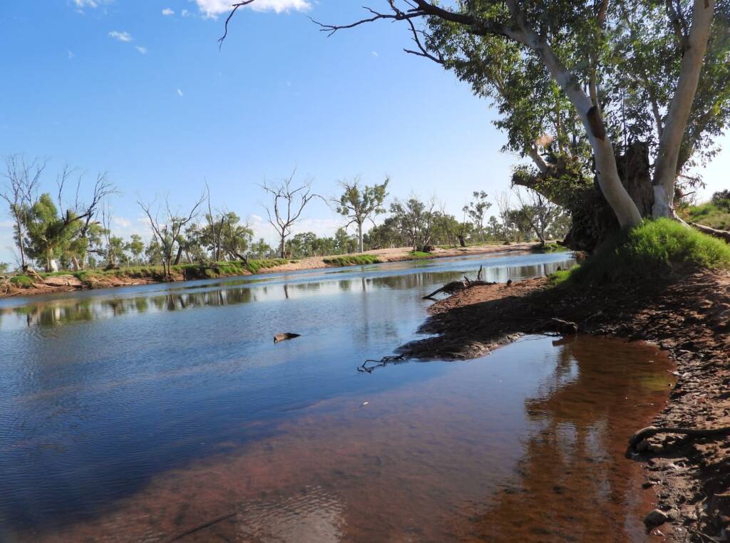 Redbank Waterhole, Owen Springs Reserve © Dorothy Latimer