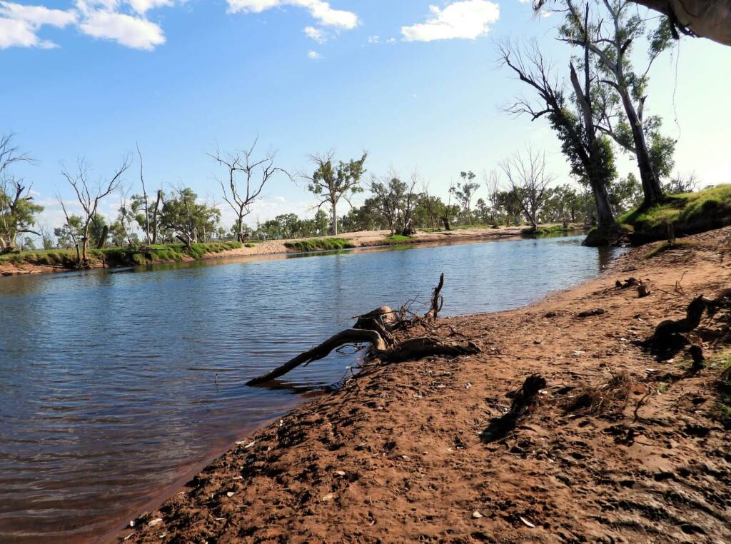 Redbank Waterhole, Owen Springs Reserve © Dorothy Latimer
