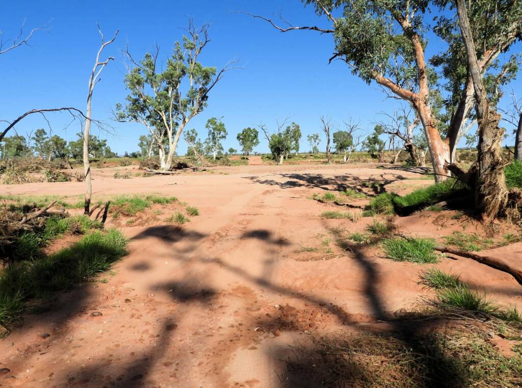 Stretches of sandy landscape around the Redbank Waterhole, Owen Springs Reserve © Dorothy Latimer