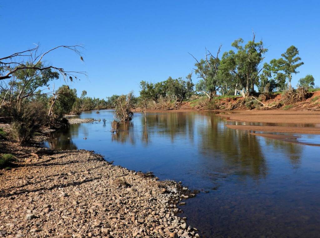 Redbank Waterhole, Owen Springs Reserve © Dorothy Latimer