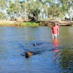 Dog friendly Redbank Waterhole, Owen Springs, NT