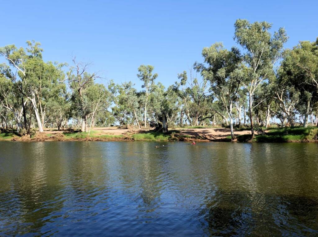 Dog friendly Redbank Waterhole, Owen Springs, NT