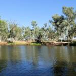 Dog friendly Redbank Waterhole, Owen Springs, NT