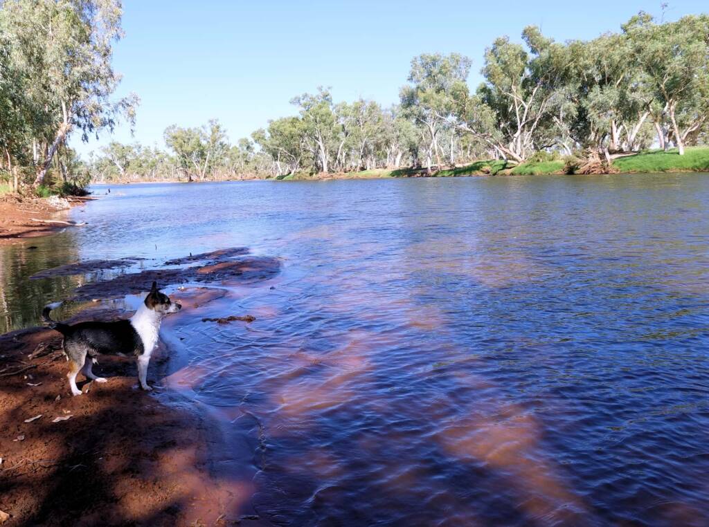 Dog friendly Redbank Waterhole, Owen Springs, NT