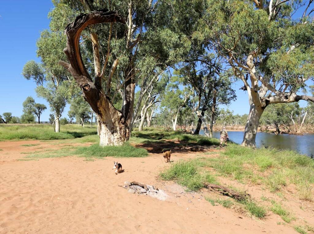 Dog friendly Redbank Waterhole, Owen Springs, NT