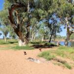 Dog friendly Redbank Waterhole, Owen Springs, NT