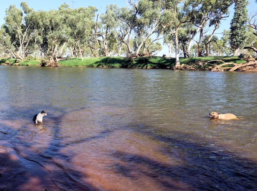 Fin and Ya at Redbank Waterhole, Ormiston Gorge, NT