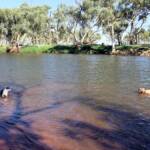 Fin and Ya at Redbank Waterhole, Ormiston Gorge, NT