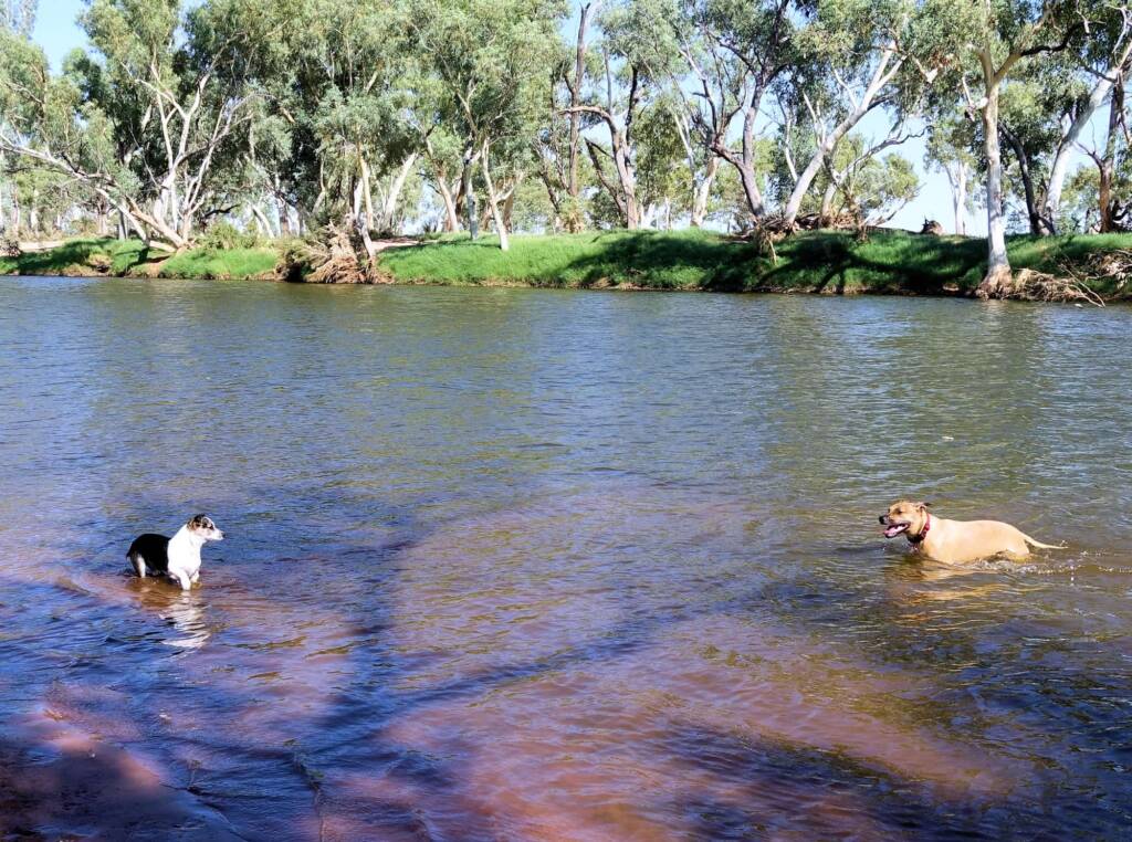 Fin and Ya at Redbank Waterhole, Ormiston Gorge, NT