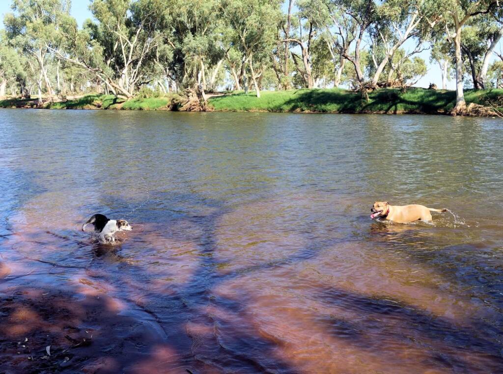 Fin and Ya at Redbank Waterhole, Ormiston Gorge, NT