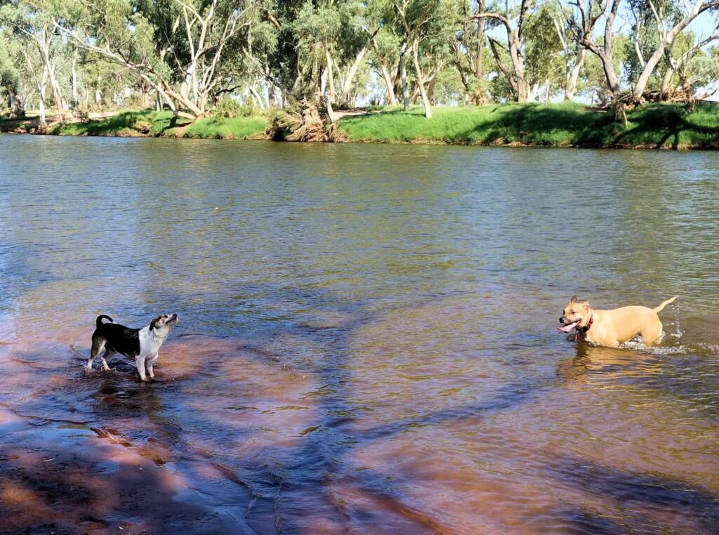 Fin and Ya at Redbank Waterhole, Ormiston Gorge, NT