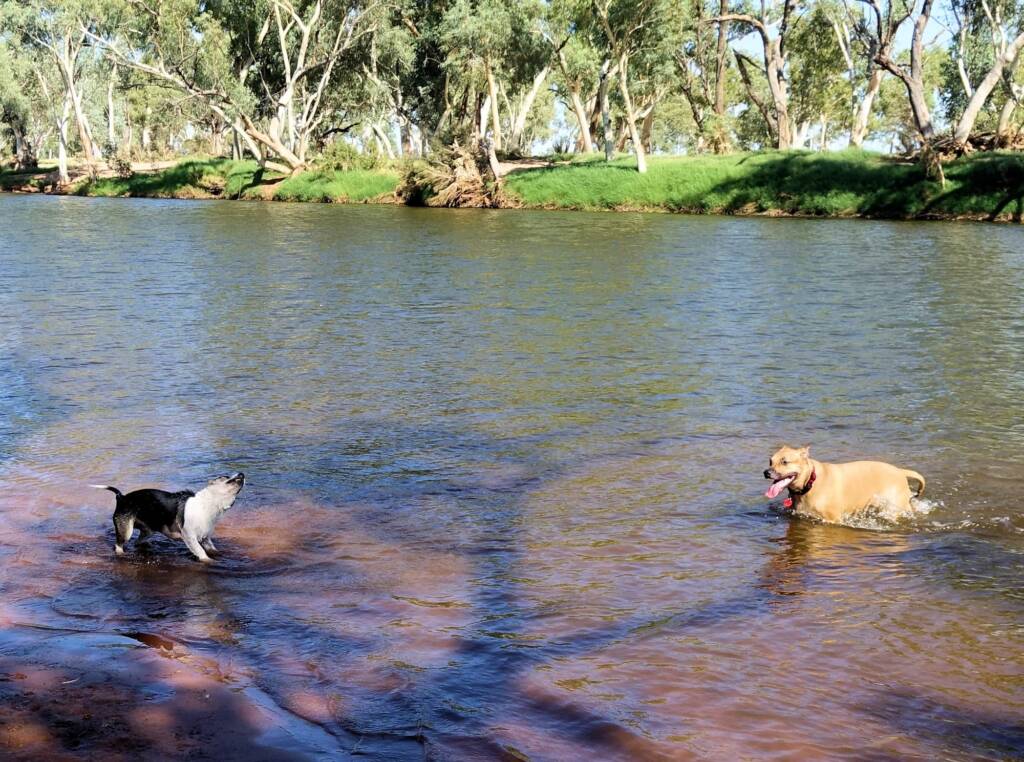 Fin and Ya at Redbank Waterhole, Ormiston Gorge, NT