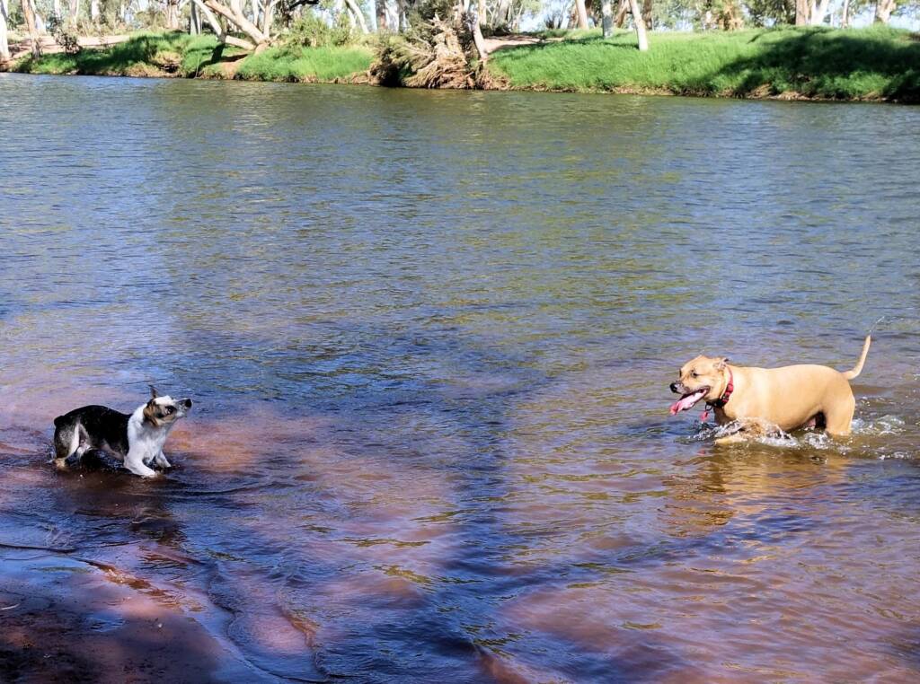 Fin and Ya at Redbank Waterhole, Ormiston Gorge, NT