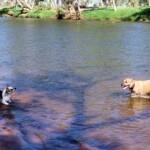 Fin and Ya at Redbank Waterhole, Ormiston Gorge, NT