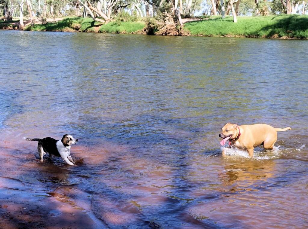 Fin and Ya at Redbank Waterhole, Ormiston Gorge, NT