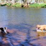 Fin and Ya at Redbank Waterhole, Ormiston Gorge, NT