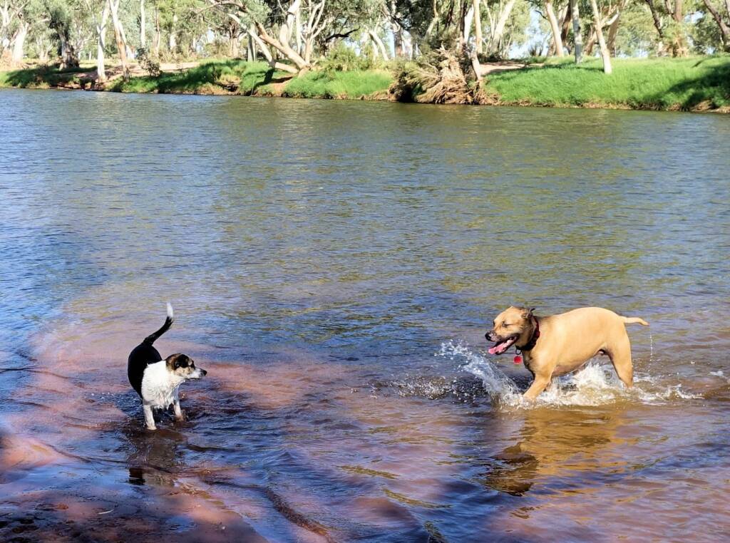 Fin and Ya at Redbank Waterhole, Ormiston Gorge, NT