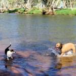 Fin and Ya at Redbank Waterhole, Ormiston Gorge, NT