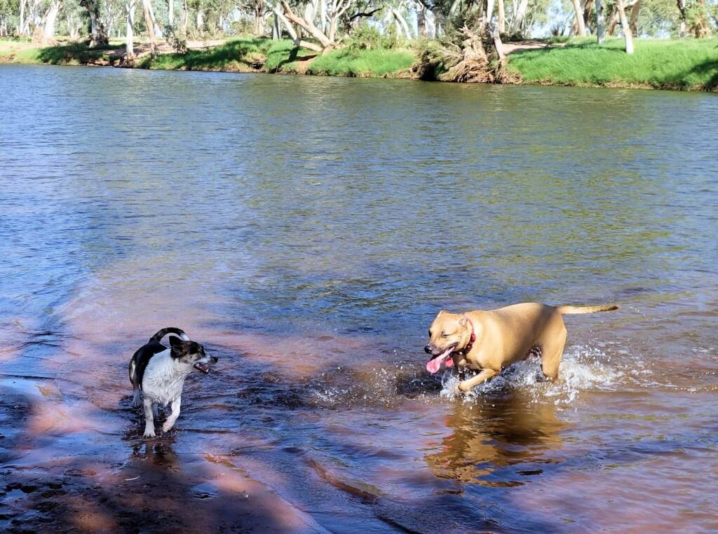 Fin and Ya at Redbank Waterhole, Ormiston Gorge, NT