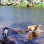 Fin and Ya at Redbank Waterhole, Ormiston Gorge, NT