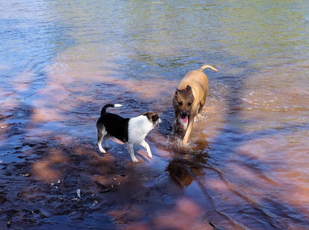 Fin and Ya at Redbank Waterhole, Ormiston Gorge, NT