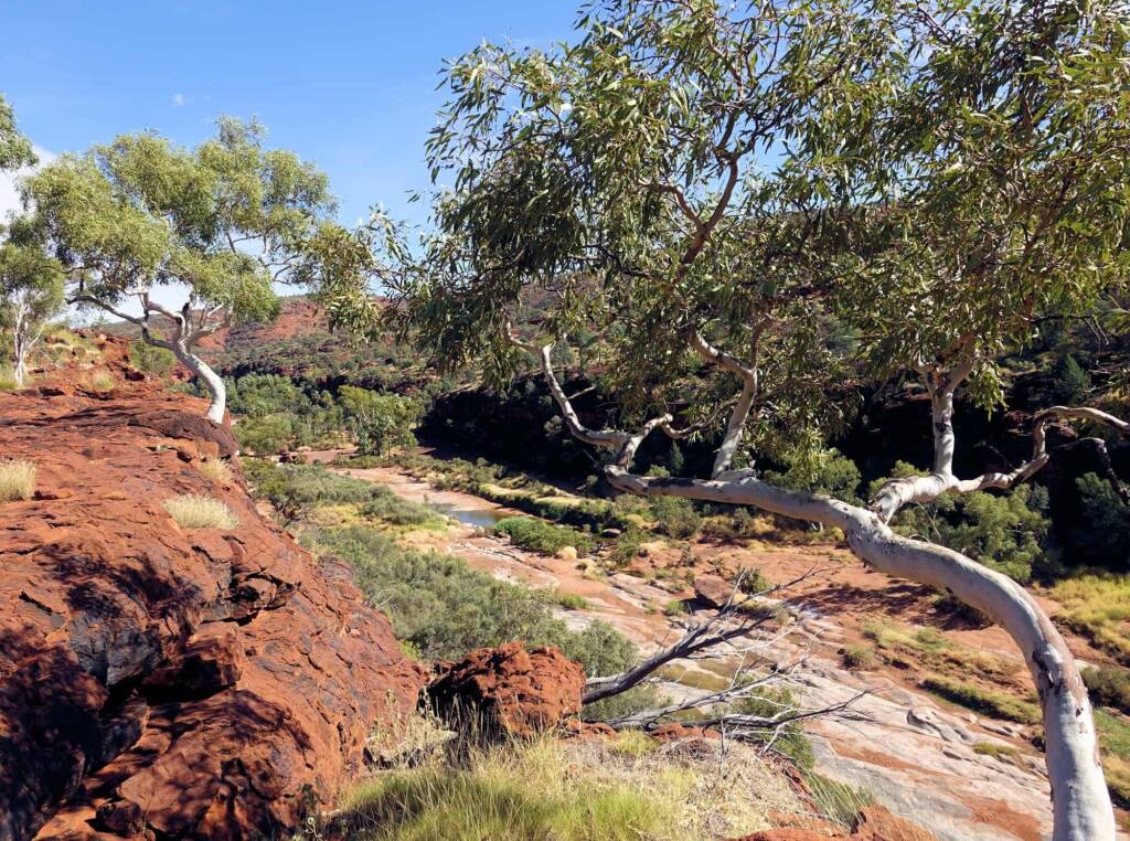 Looking down into Palm Valley, Fink Gorge National Park