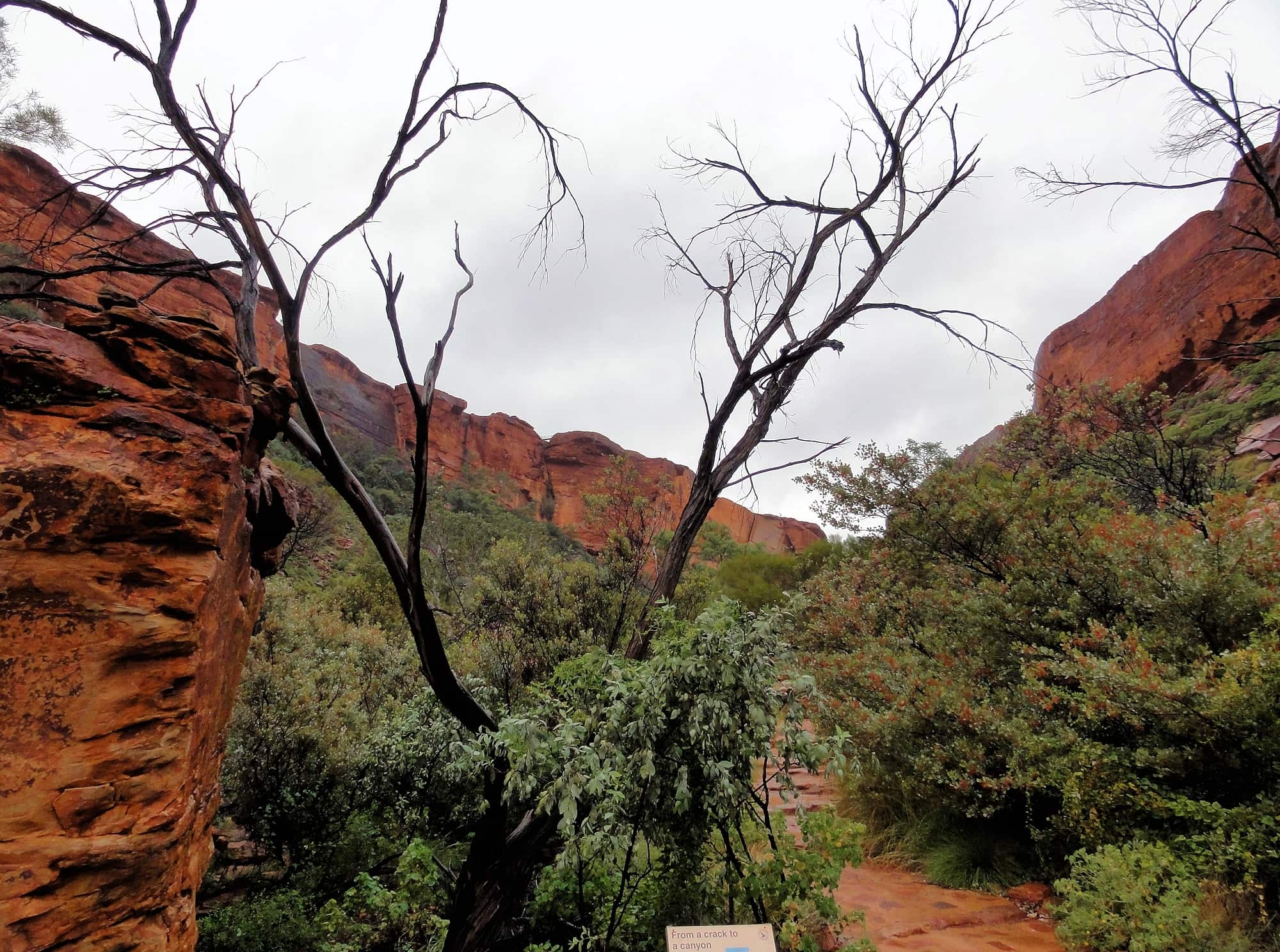 From a crack to a canyon, Watarrka National Park
