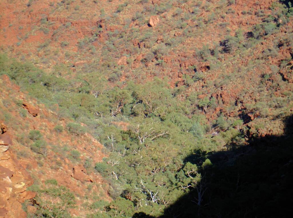 Kings Canyon, Watarrka National Park © 2006 Greg Sully