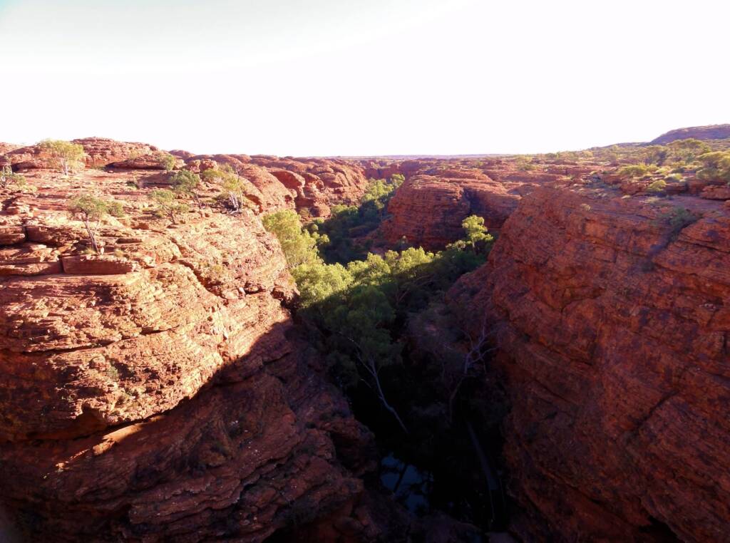 Looking down into Kings Canyon, Watarrka National Park