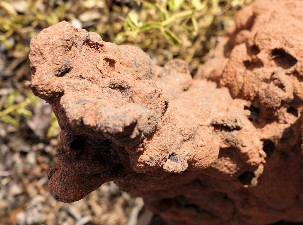 Nasutitermes triodiae termite mound, Palm Valley, Finke Gorge National Park