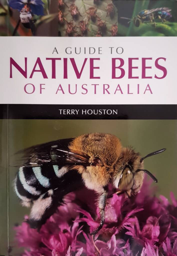 A Guide to Native Bees of Australia by Terry Houston