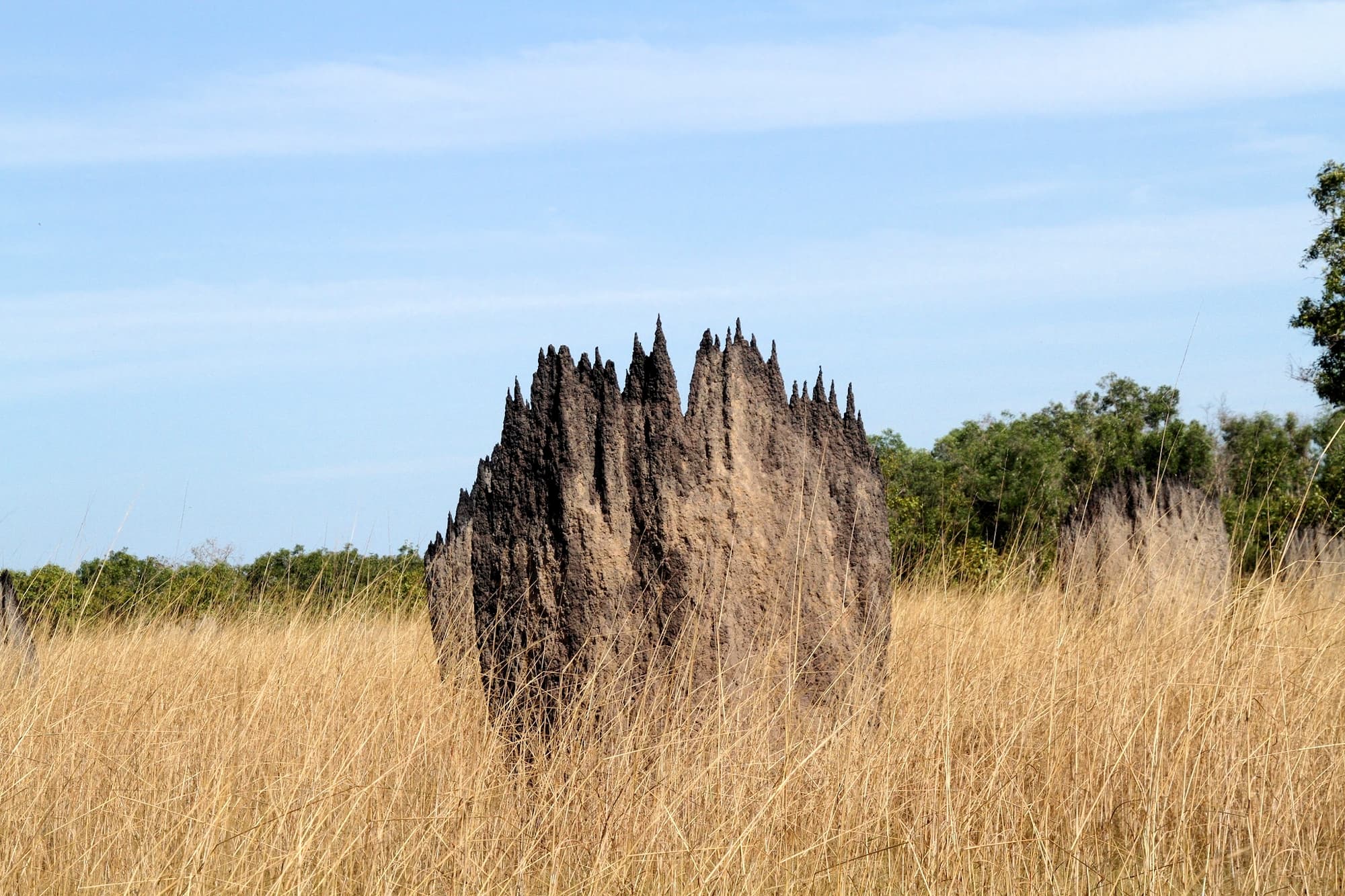 Magnetic Termite Mound, Dundee area, NT © Jenny Purdie