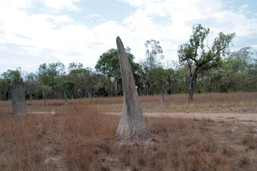 Magnetic Termite Mound, Dundee area, NT © Jenny Purdie
