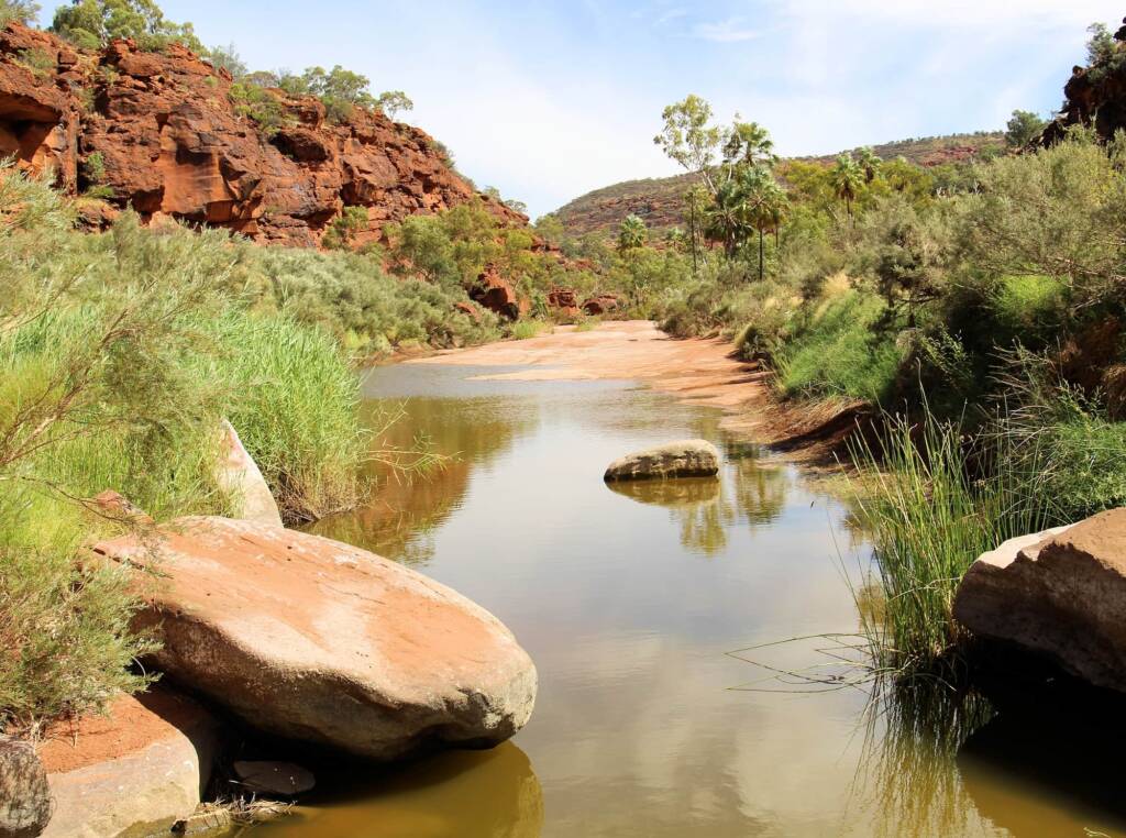 Palm Valley, Finke Gorge National Park