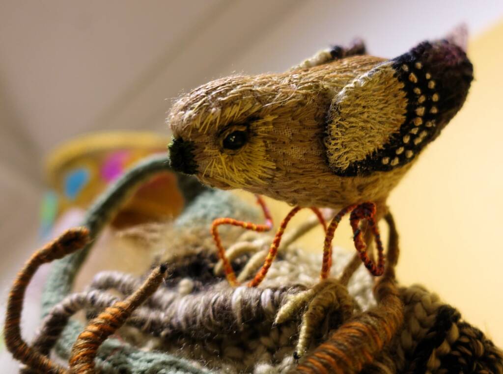 "Little Aussie Endangered Bird" by Lorraine Boomer - Alice Springs Beanie Festival