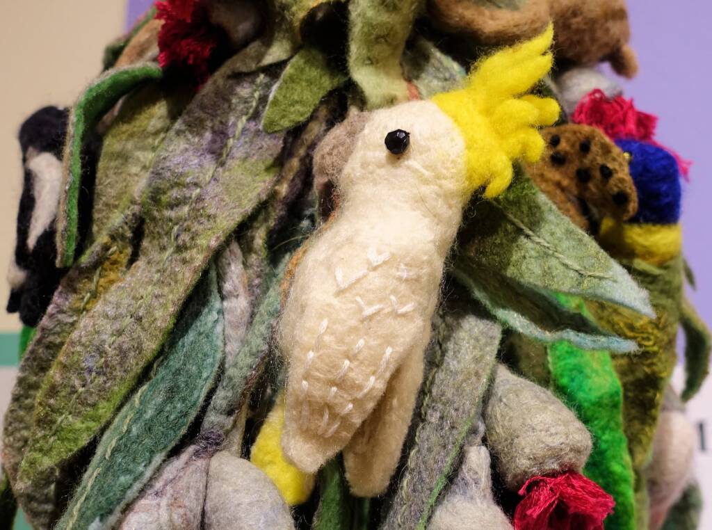 Mrs Haggie's Spirit of the Land Special Mention category - 2022 Alice Springs Beanie Festival