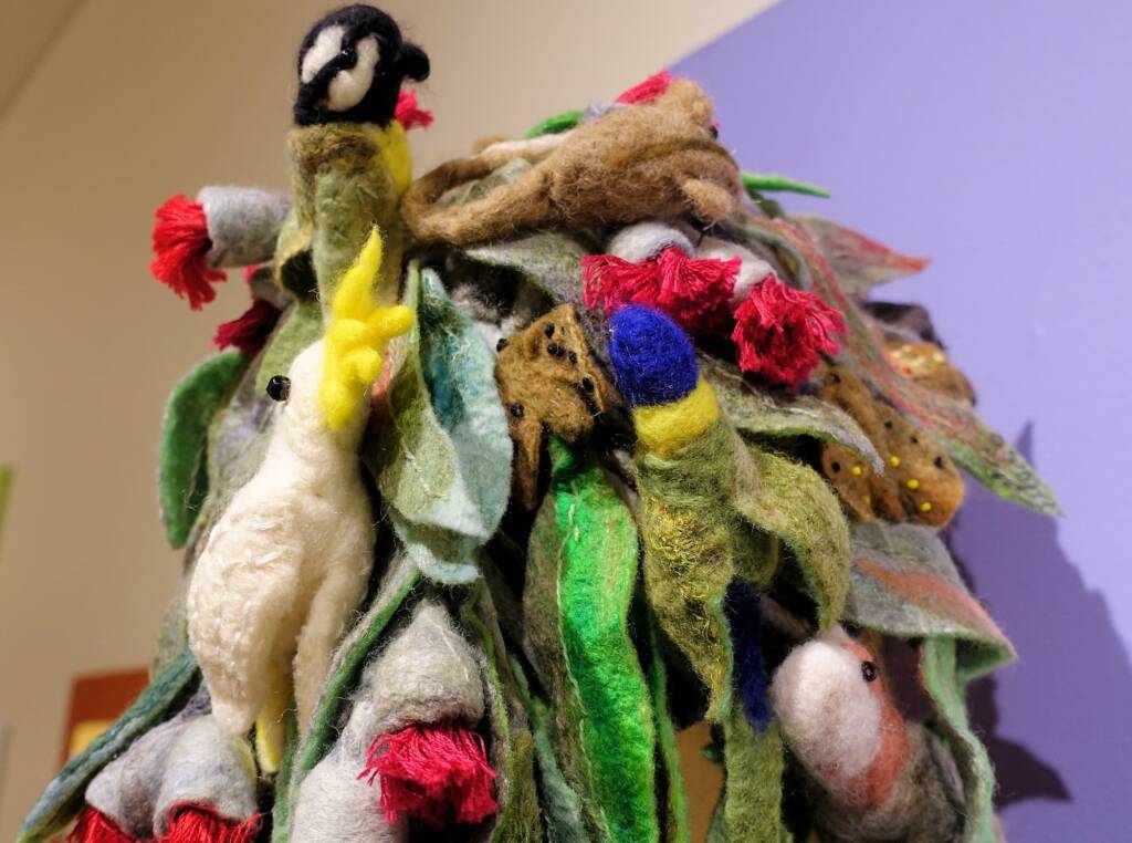 Mrs Haggie's Spirit of the Land Special Mention category - 2022 Alice Springs Beanie Festival