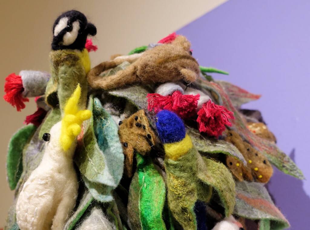 Mrs Haggie's Spirit of the Land Special Mention category - 2022 Alice Springs Beanie Festival