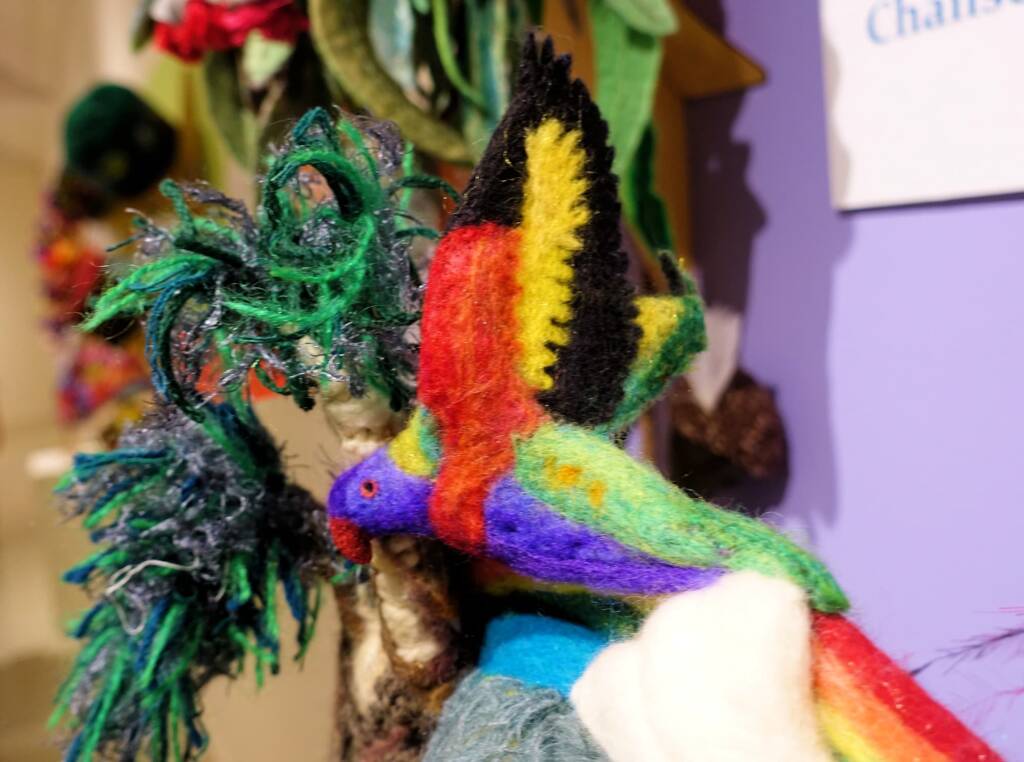 Mrs Haggie's Spirit of the Land Winner category - 2022 Alice Springs Beanie Festival