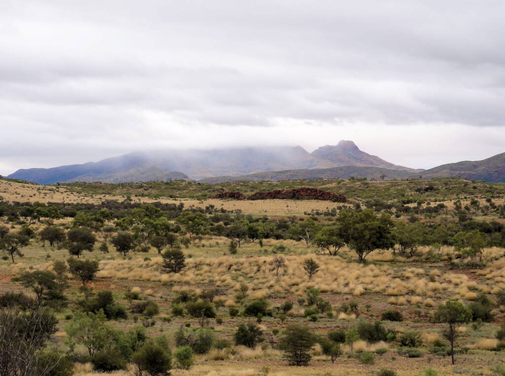 Rain clouds over Mount Sonder / Rwetyepme, West MacDonnell Ranges