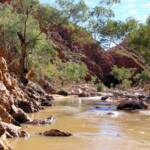 Redbank Gorge, West MacDonnell National Park © Greg Sully
