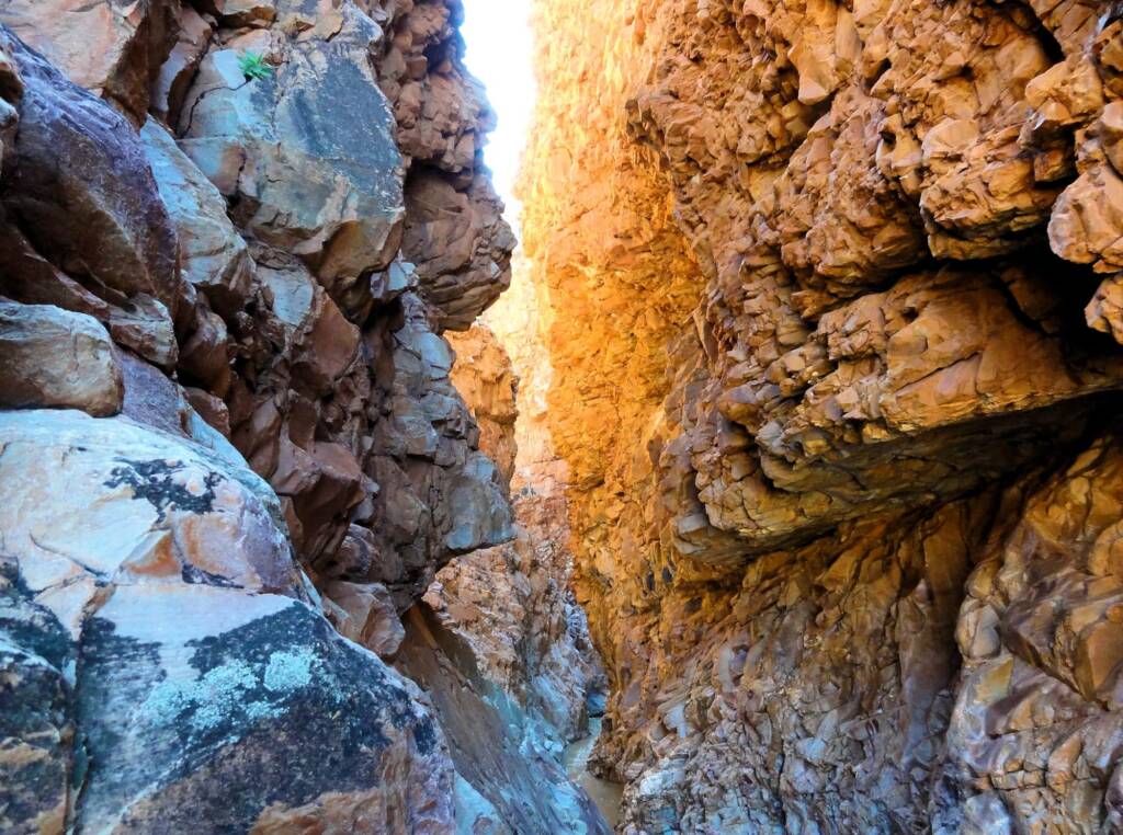 Redbank Gorge, West MacDonnell National Park © Greg Sully