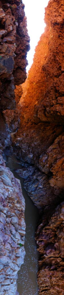 Redbank Gorge, West MacDonnell National Park © Greg Sully