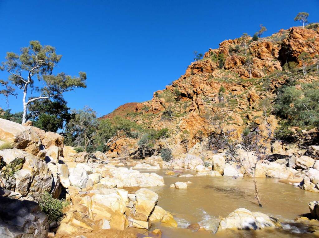Redbank Gorge, West MacDonnell National Park © Greg Sully