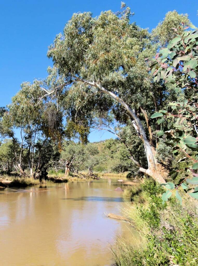 Redbank Gorge, West MacDonnell National Park