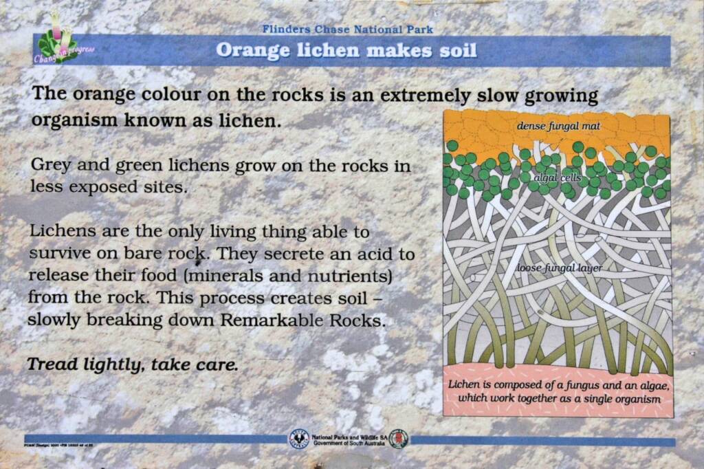 Park signage: Orange lichen makes soil, National Parks and Wildlife SA, Government of South Australia