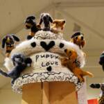 "Puppy Love" by Marilyn Hunter - The Love of your Best Friend - 2022 Alice Springs Beanie Festival