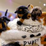 "Puppy Love" by Marilyn Hunter - The Love of your Best Friend - 2022 Alice Springs Beanie Festival