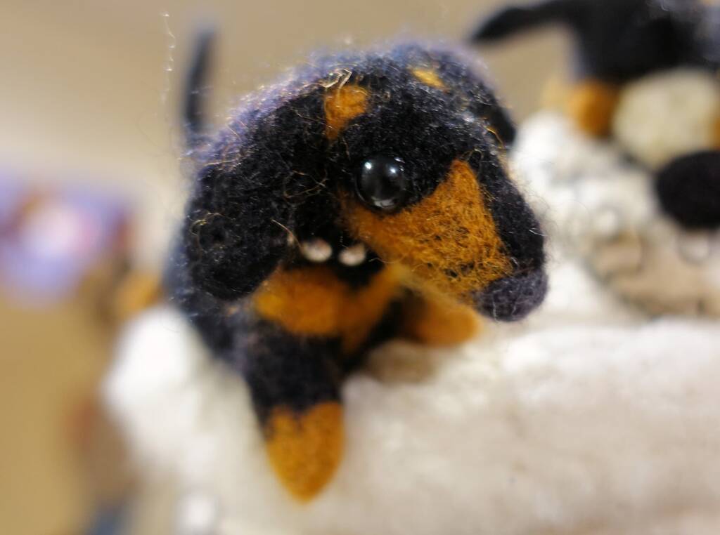 "Puppy Love" by Marilyn Hunter - The Love of your Best Friend - 2022 Alice Springs Beanie Festival